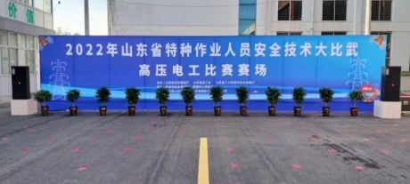 山东泽能电力科技公司项目介绍