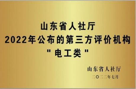 山东泽能电力科技公司项目介绍