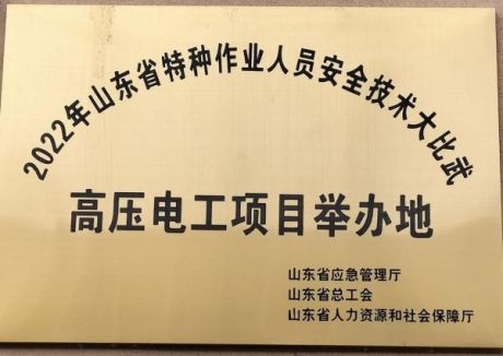山东泽能电力科技公司项目介绍