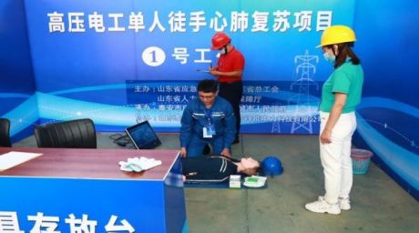 山东泽能电力科技公司项目介绍