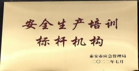 山东泽能电力科技公司项目介绍