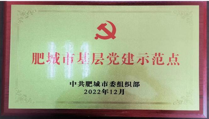 山东泽能电力科技公司 “两新”组织近几年工作成果展示 2023年工作汇报