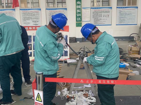 电工焊工技能提升活动招聘照片