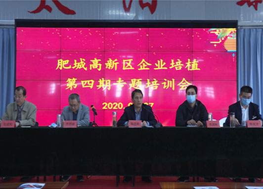 新闻快讯